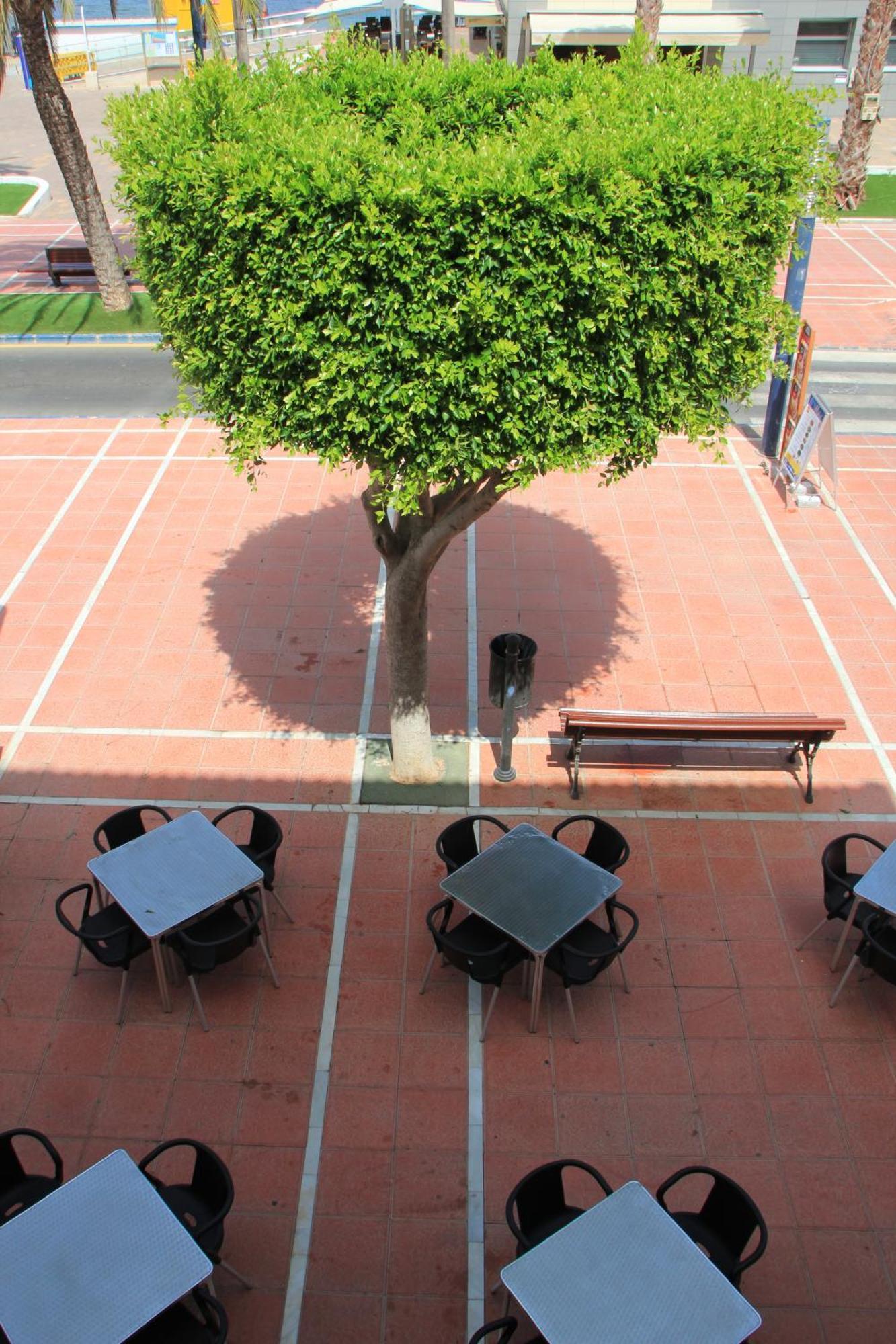 Hotel El Marino Santiago De La Ribera Quarto foto